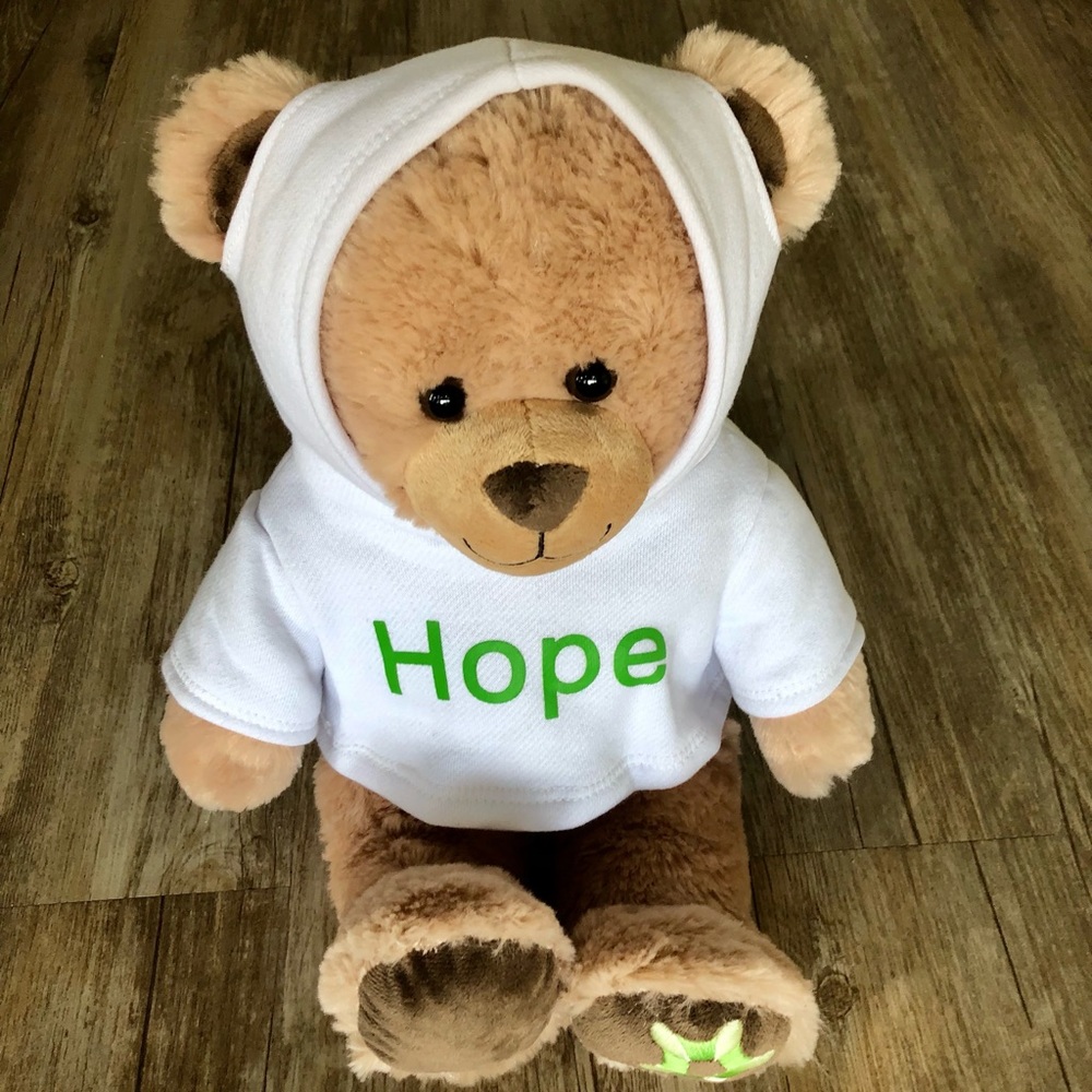 Build A Bear Hope For Extended Stay Hotel 2016 16”